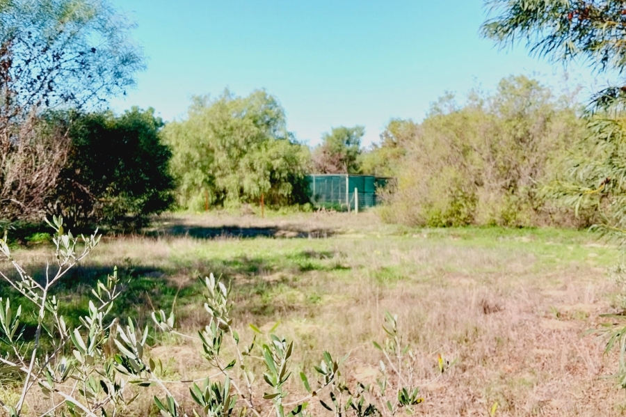 0 Bedroom Property for Sale in Tierfontein AH Western Cape